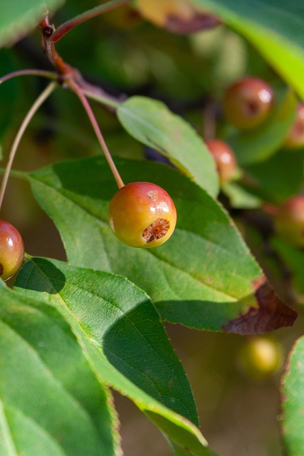 队以来便成 队以来便成