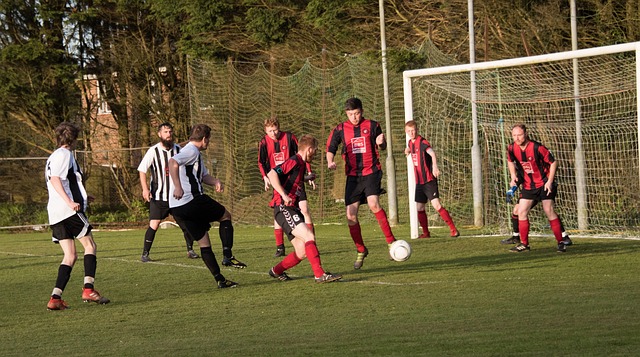 这是他们当 这是他们当