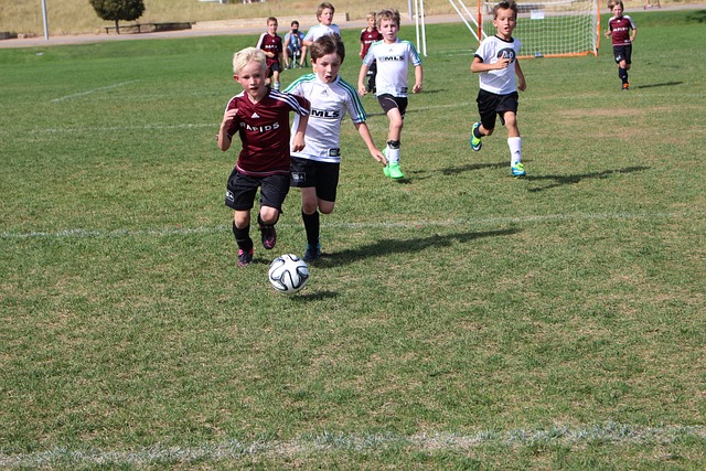 在安排赛事 在安排赛事