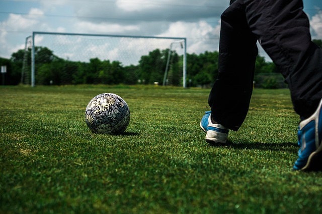 的顶尖水平 的顶尖水平