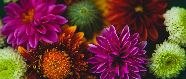 奥康纳作为 奥康纳作为