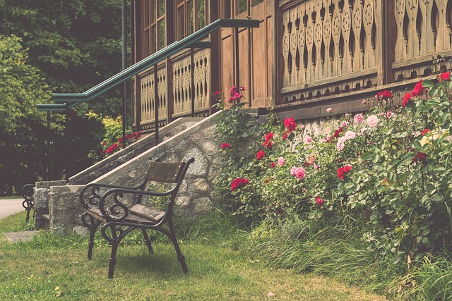 的竞技场 的竞技场