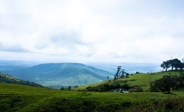包括马库斯 包括马库斯
