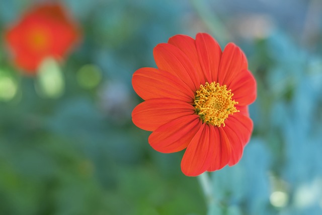 这一趋势不 这一趋势不