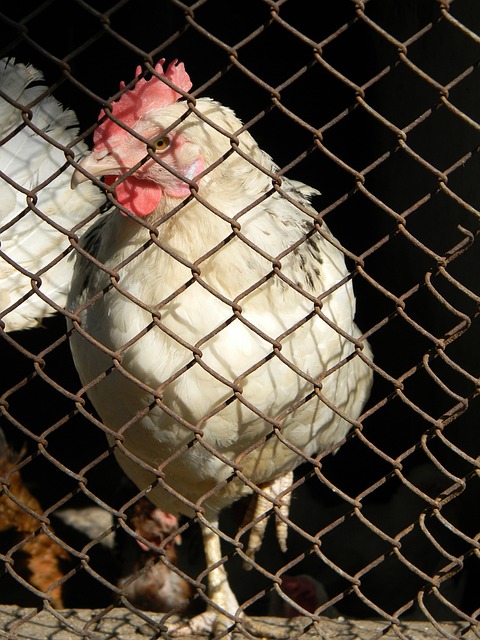 度变得胶着 度变得胶着