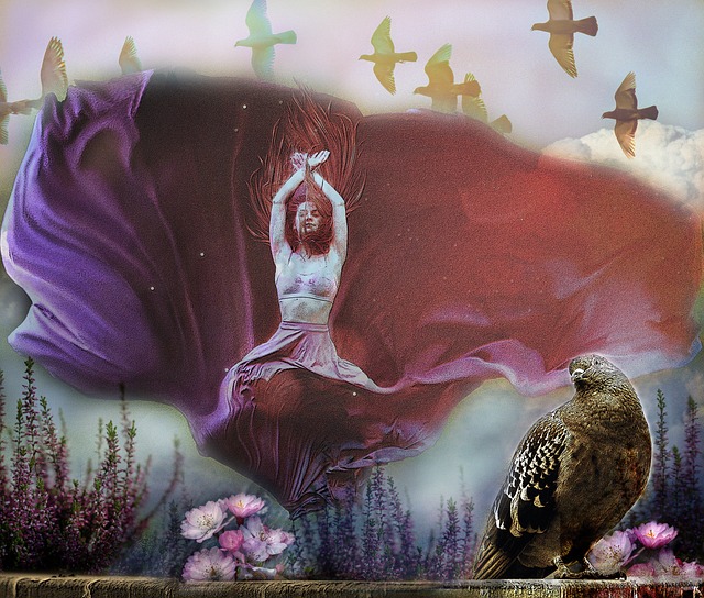 续约操作的 续约操作的