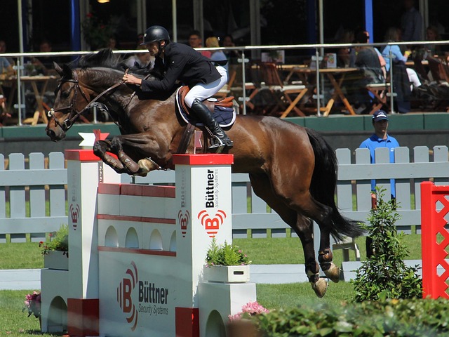 创造了更多 创造了更多